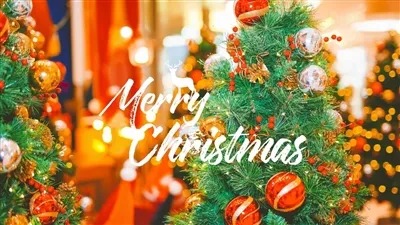 Shenzhen Optico Ви пожелава Весела Коледа и Честита Нова Година.